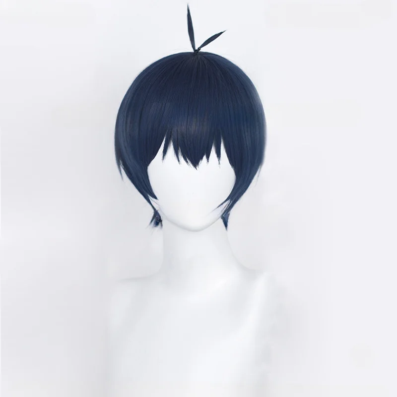 Anime Isagi Yoichi Cosplay Wig - огляд і ціна Anime Cosplay Duo